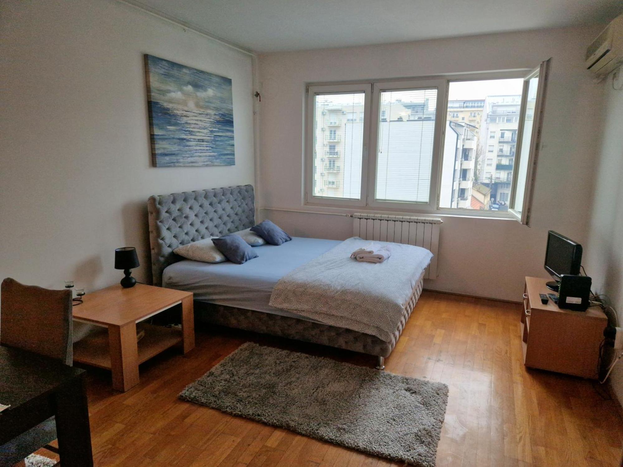 Anchy Apartment Belgrad Dış mekan fotoğraf
